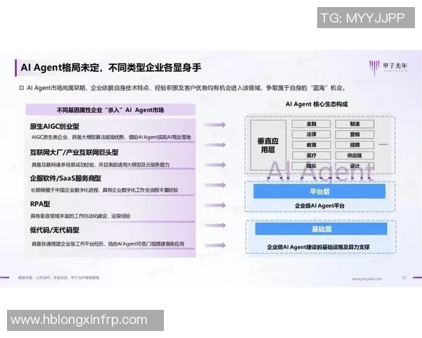 杭州极限运动队区域防守战术解析与实战应用探讨